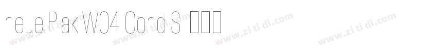 neue Plak W04 Cond S字体转换
